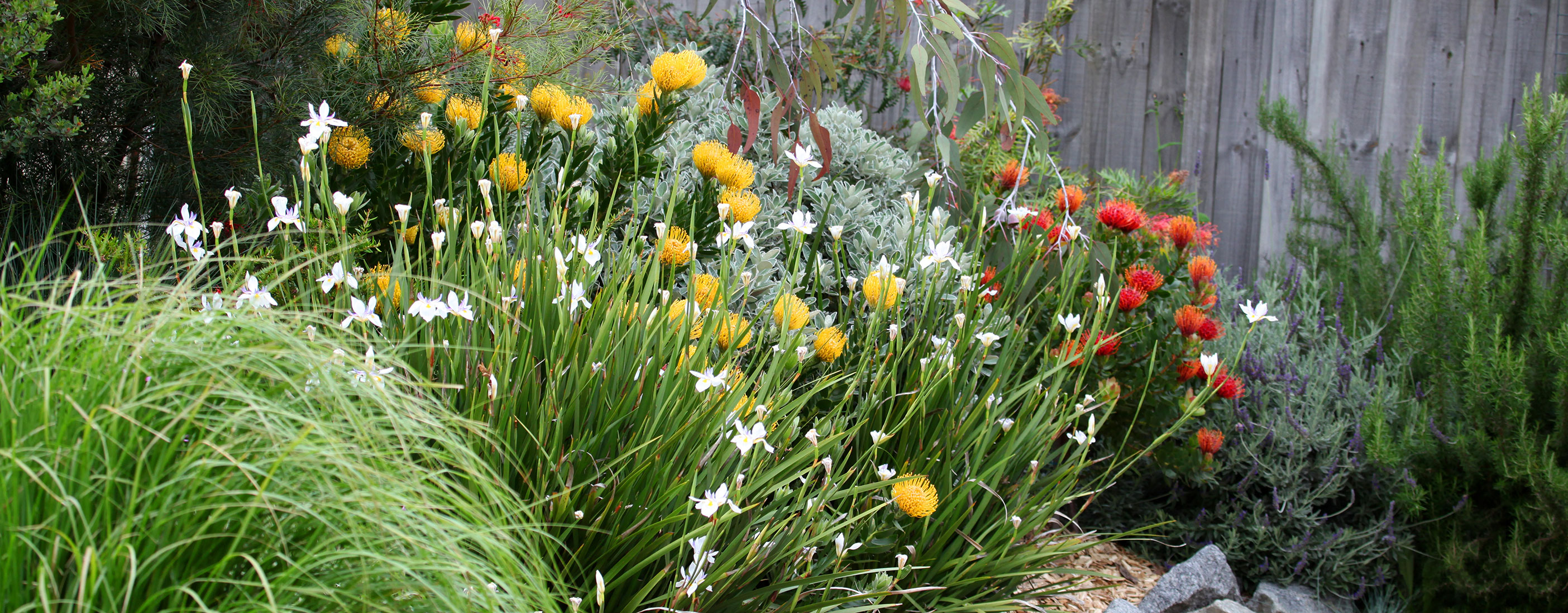 Perth and Peel Urban Greening Strategy Main Image